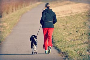 hardlopen hond