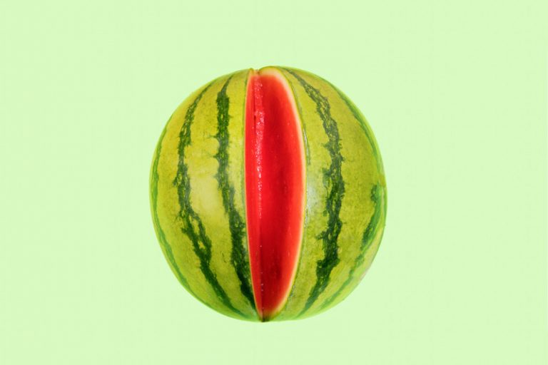 watermeloen kip